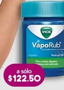 Farmacia San Pablo Vick vaporub regular 100 g oferta