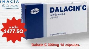 Farmacia San Pablo Dalacin c 16 cápsulas caja oferta