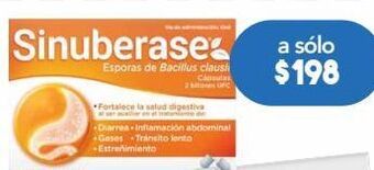 Sinuberase esporas bacillus 12 cápsulas