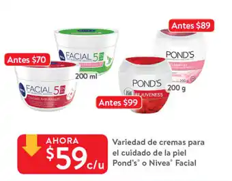 Variedad De Cremas Para El Cuidado De la Piel Pnd's