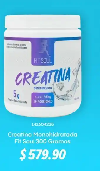 GNC Creatina monohidratada fit soul 300 gramos oferta