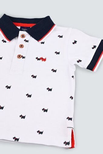 Ferrioni Polo lima oferta