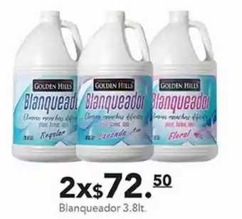 Blanqueador 3,8lt x2