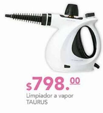 Limpiador a vapor taurus