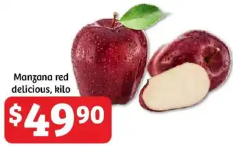 Manzana Red Delicious