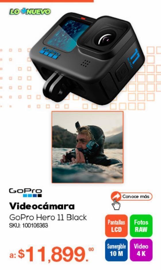 gopro radioshack