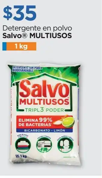 Detergente en polvo salvo multiusos 1kg
