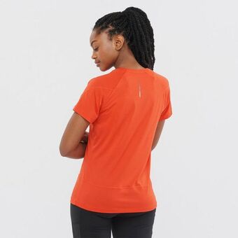 Salomon Playera cross run ss oferta