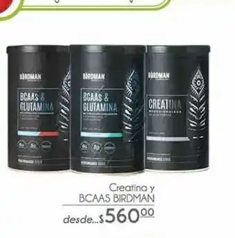 Creatina y bcaas birdman