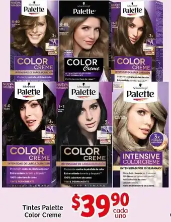 Tintes Palette Color Creme