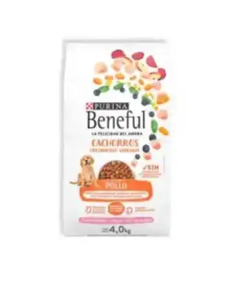 Alimento para perro cachorro sabor pollo beneful