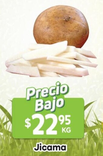 HEB Jicama oferta