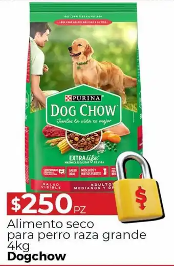 Alimento Seco para Perro Raza Grande Dog Chow 4kg