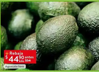 Walmart Aguacate kg oferta