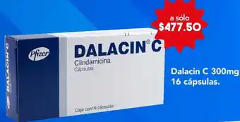 Farmacia San Pablo Dalacin C 300mg 16 Cápsulas oferta