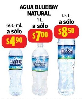 Farmacias Guadalajara Agua Bluebay Natural 600ml oferta