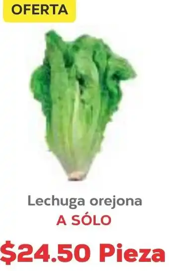 Super Aki Lechuga Orejona oferta