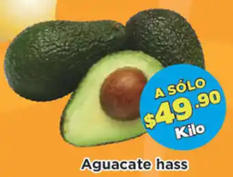 Aguacate Hass