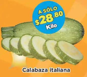 Calabaza Italiana