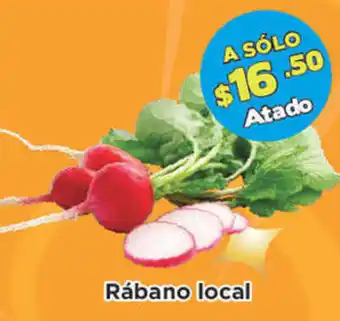 Rábano Local