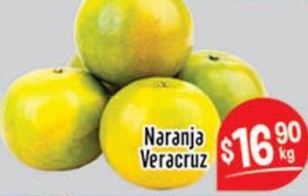 Naranja Veracruz