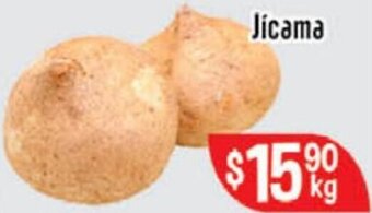 El Florido Jícama oferta