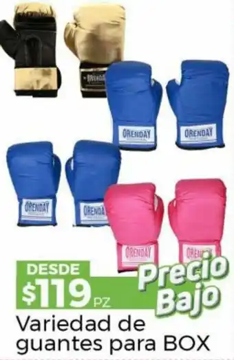 Variedad de Guantes para Box