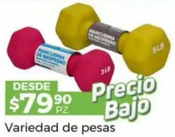 Variedad de Pesas