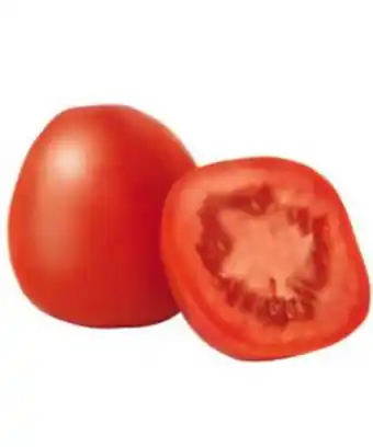 Tomate saladette