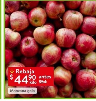 Manzana gala