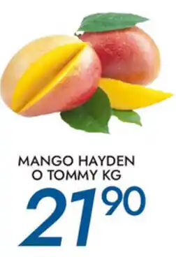 Mango Hayden o Tommy Kg
