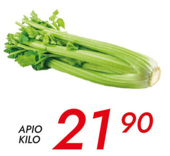 Apio Kilo