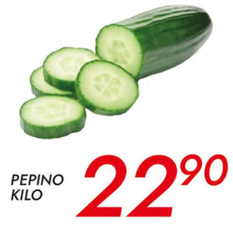 Alsuper Pepino Kilo oferta