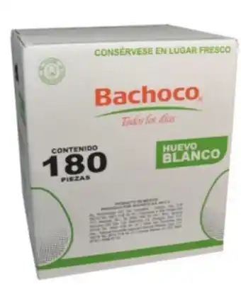 Caja de huevo blanco bachoco
