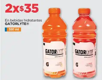 Chedraui En bebidas hidratantes gatorlyte x 2un oferta