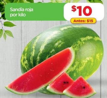Bodega Aurrerá Sandía Roja oferta