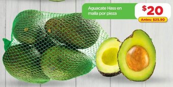 Aguacate Hass en Malla