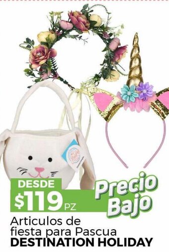 HEB Destination Holiday Articulos de Fiesta para Pascua oferta