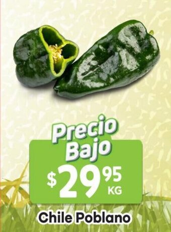 HEB Chile Poblano oferta