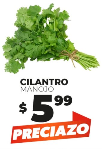 Merco Cilantro Manojo oferta