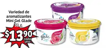 Variedad de Aromatizantes Mini Gel Glade 70g