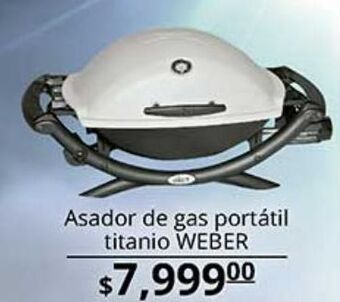 Asador de gas portátil titanio weber