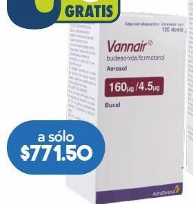 Farmacia San Pablo Vannair aerosol 120 aerosol inhalador oferta