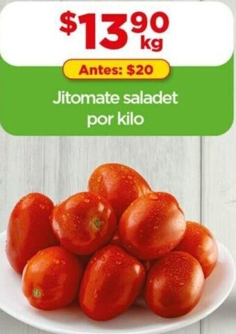 Jitomate Saladet