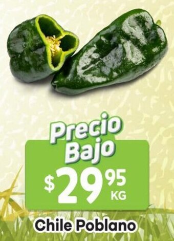 HEB Chile Poblano oferta