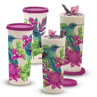 Tupperware Vasos maravilla "colibrí" oferta