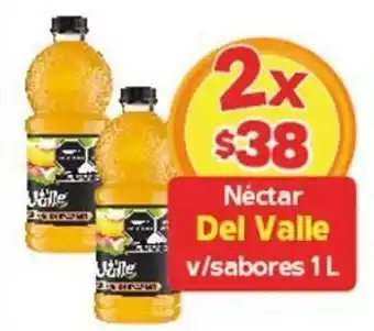 Néctar Del Valle v/sabores 2 x 1L