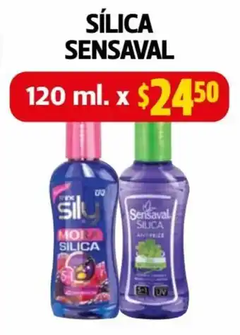 Farmacias Guadalajara Sílica Sensaval 120ml oferta
