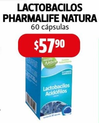 Farmacias Guadalajara Lactobacilos Pharmalife Natura 60 cápsulas oferta