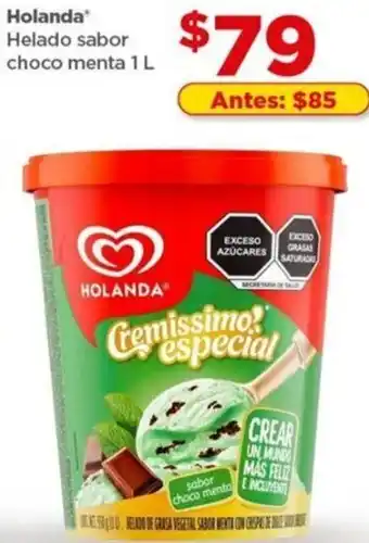 Bodega Aurrerá Holando Helado Sabor Choco Menta 1L oferta